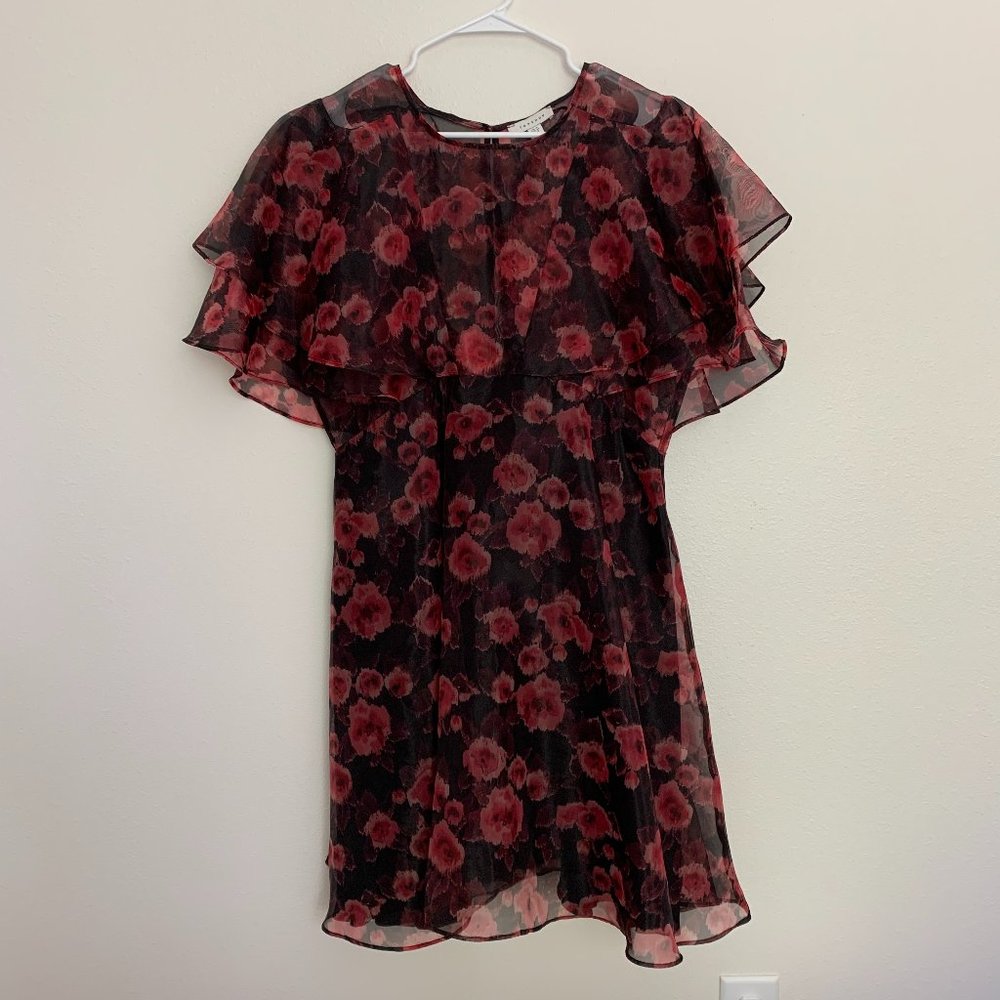 Topshop Dress